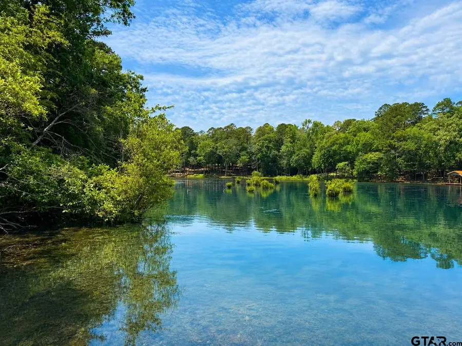 289 Llano Bend, Holly Lake Ranch, TX 75765 - #2