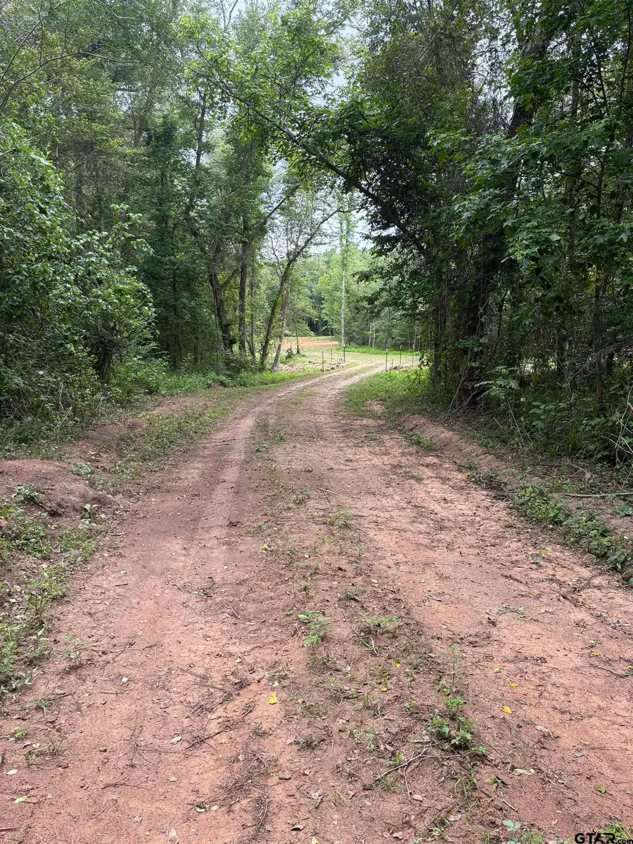 23655 CR 244, Overton, TX 75684 - #2