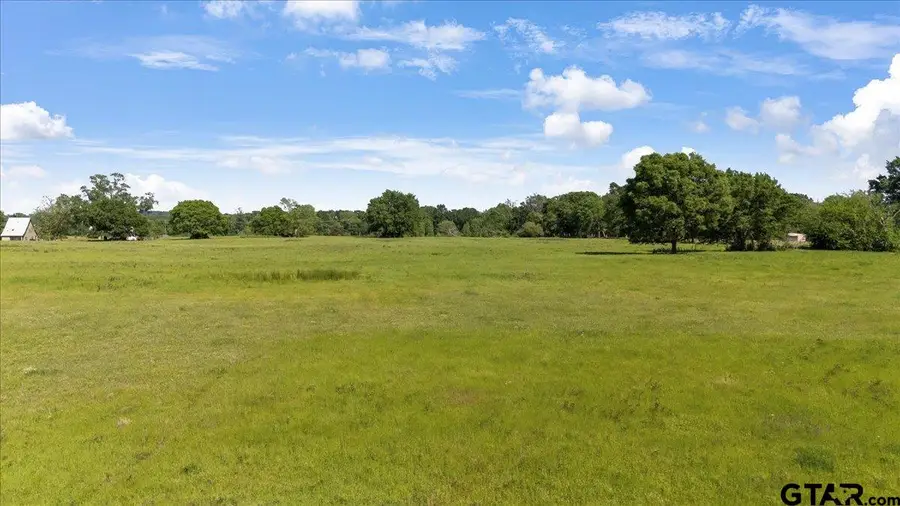 335 COUNTY ROAD 4802 & Hwy 110, Troup, TX 75789 - #3