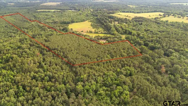 TBD S FM 225, Laneville, TX 75667