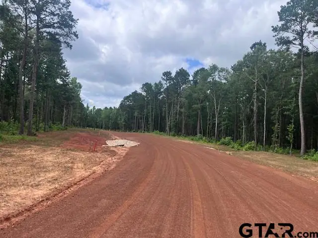 TBD High Pines Drive, Tyler, TX 75708 - #3