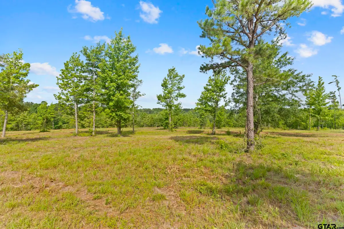 TBD County Road 4112 Lot 3, Lindale, TX 75771 - #1