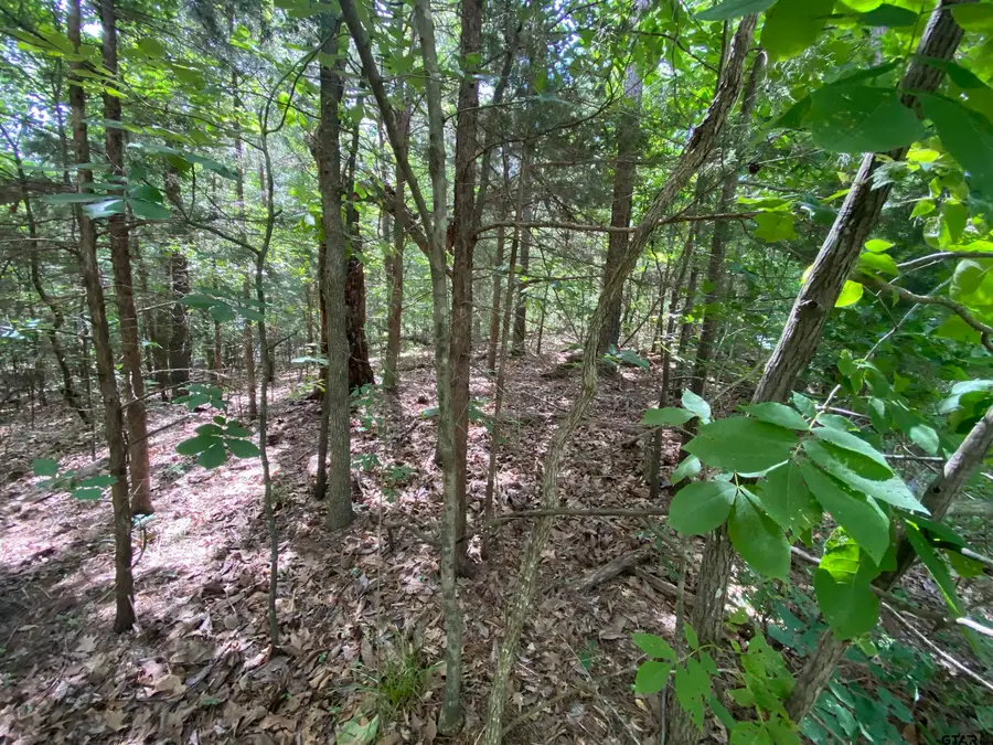 Lot 48 Angelina St., Mount Vernon, TX 75457 - #2