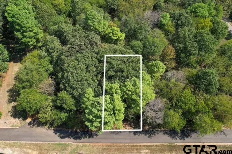 Lot 48 Angelina St., Mount Vernon, TX 75457 - #3