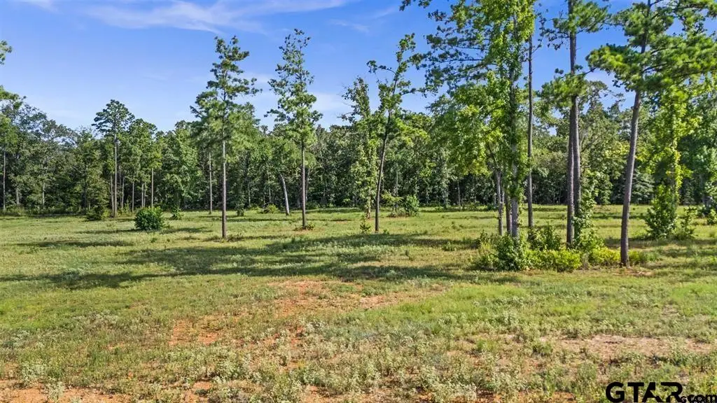 15810 Aniston Lane, Flint, TX 75762 - #1