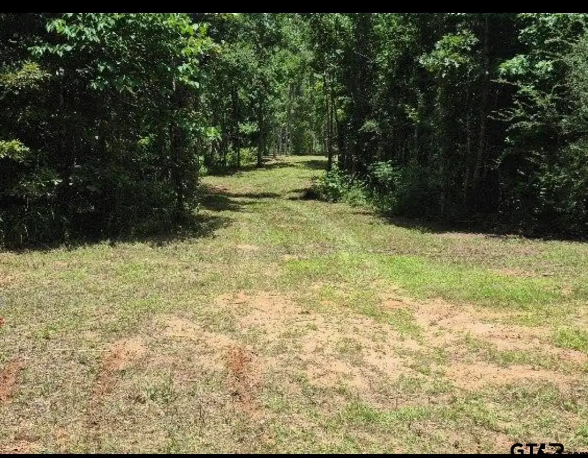 19427 County Road 2153, Troup, TX 75789 - #1