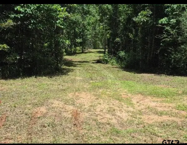 19427 County Road 2153, Troup, TX 75789