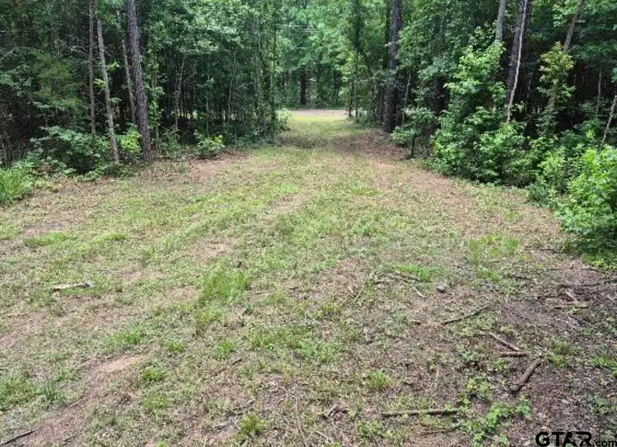 19427 County Road 2153, Troup, TX 75789 - #3
