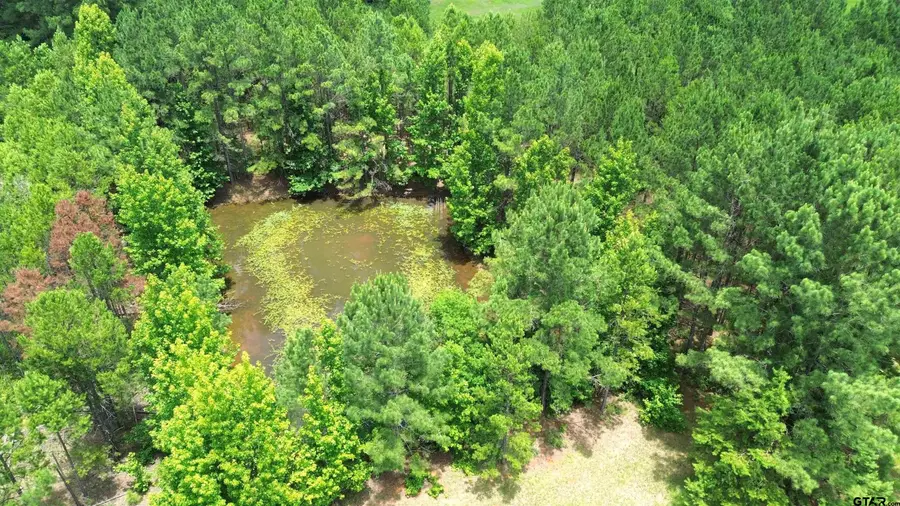 4343 FM 229, Crockett, TX 75835 - #2
