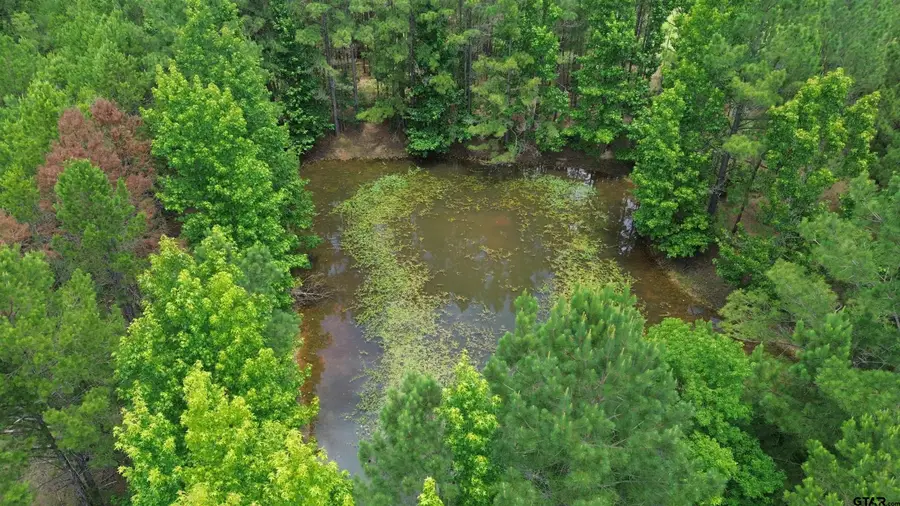 4343 FM 229, Crockett, TX 75835 - #3