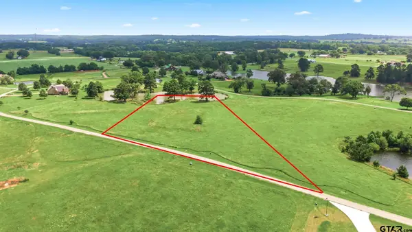 Lot 20 Caddo Creek Cir, LaRue, TX 75770