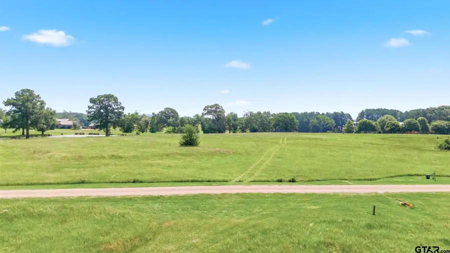 Lot 20 Caddo Creek Cir, Larue, TX 75770 - #3