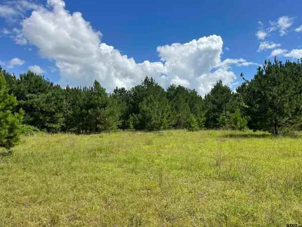 TBD S Cr 218D, Henderson, TX 75652