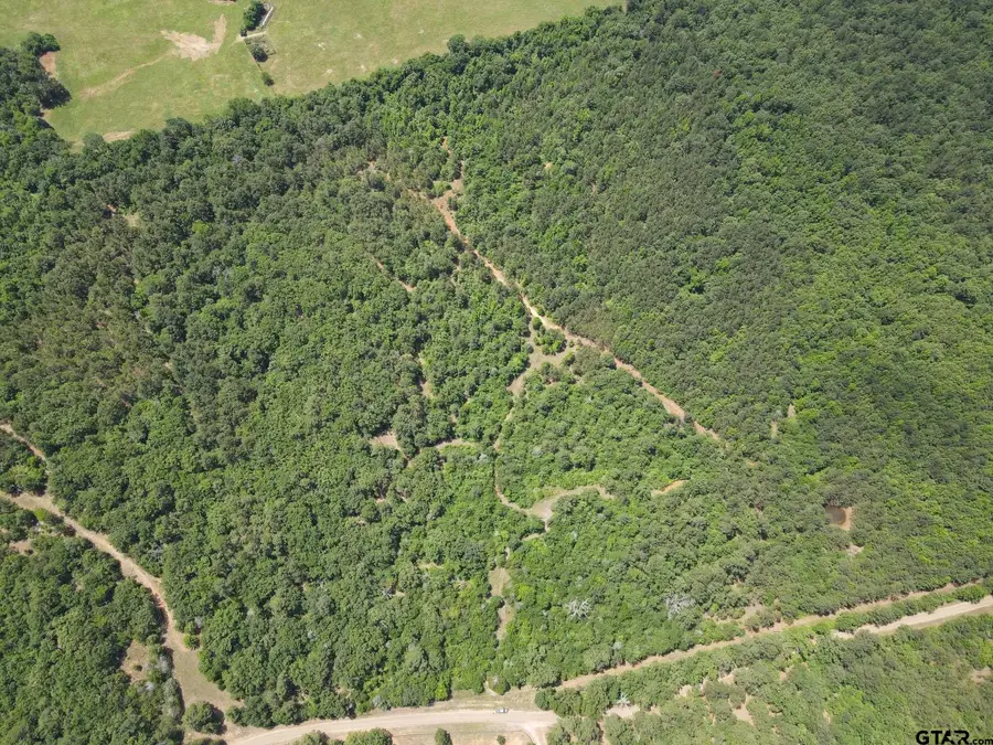 TBD 35+/- AC VZ County Road 4814, Ben Wheeler, TX 75754 - #2
