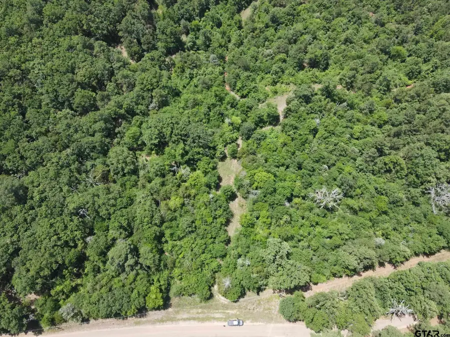 TBD 35+/- AC VZ County Road 4814, Ben Wheeler, TX 75754 - #3