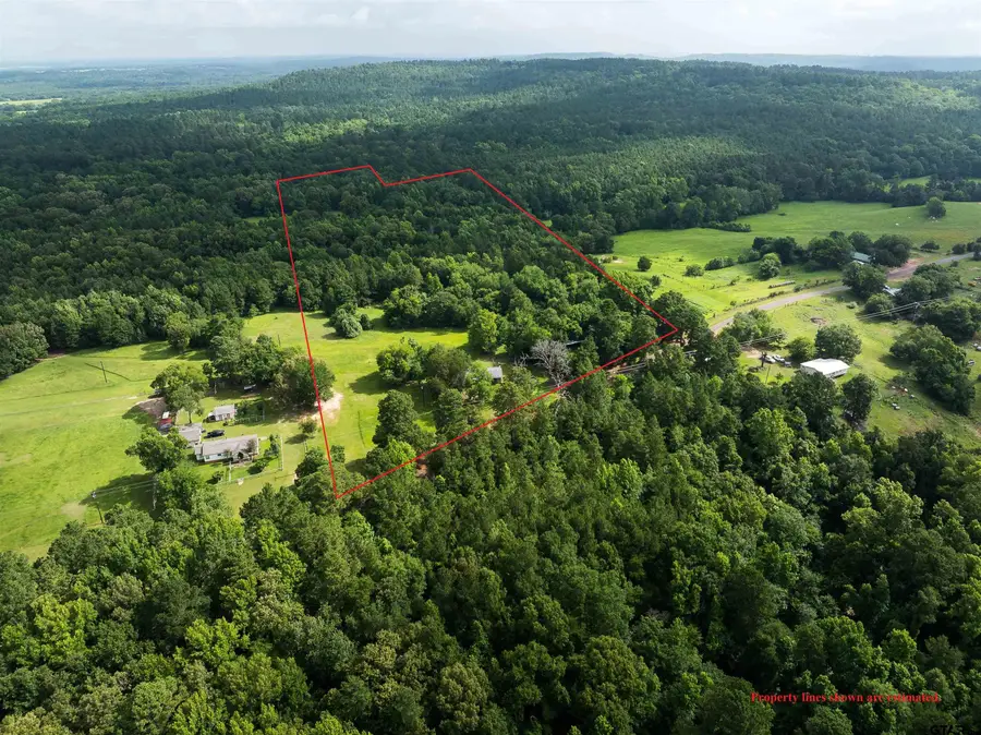 519 An County Road 45, Palestine, TX 75803 - #2