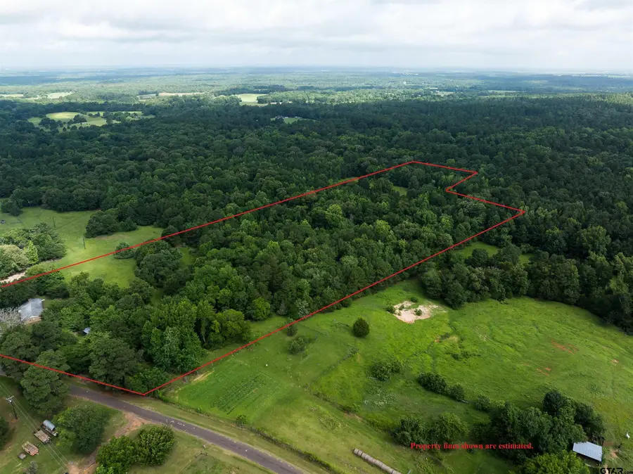 519 An County Road 45, Palestine, TX 75803 - #3