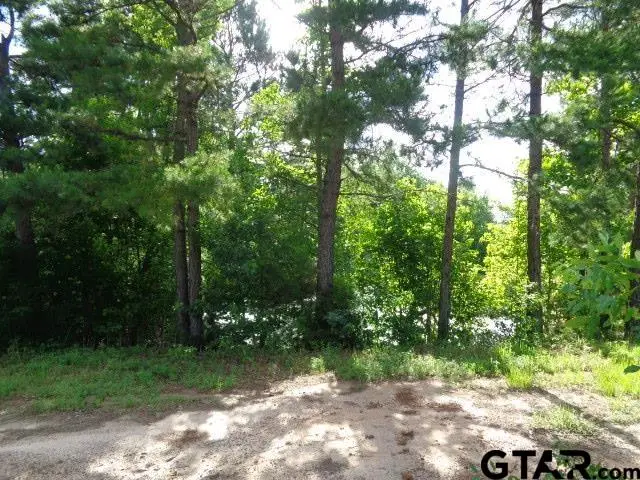 TBD CR 4568, Winnsboro, TX 75494 - #3