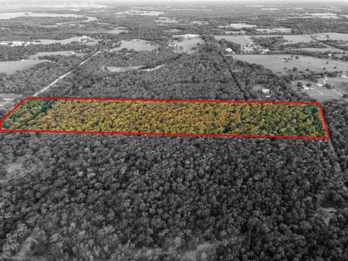 TBD Cr 3105 - 10 Acres, Edgewood, TX 75117 - #1