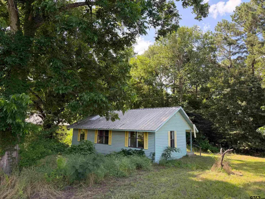 141 CR 2131, Maydelle, TX 75772 - #2