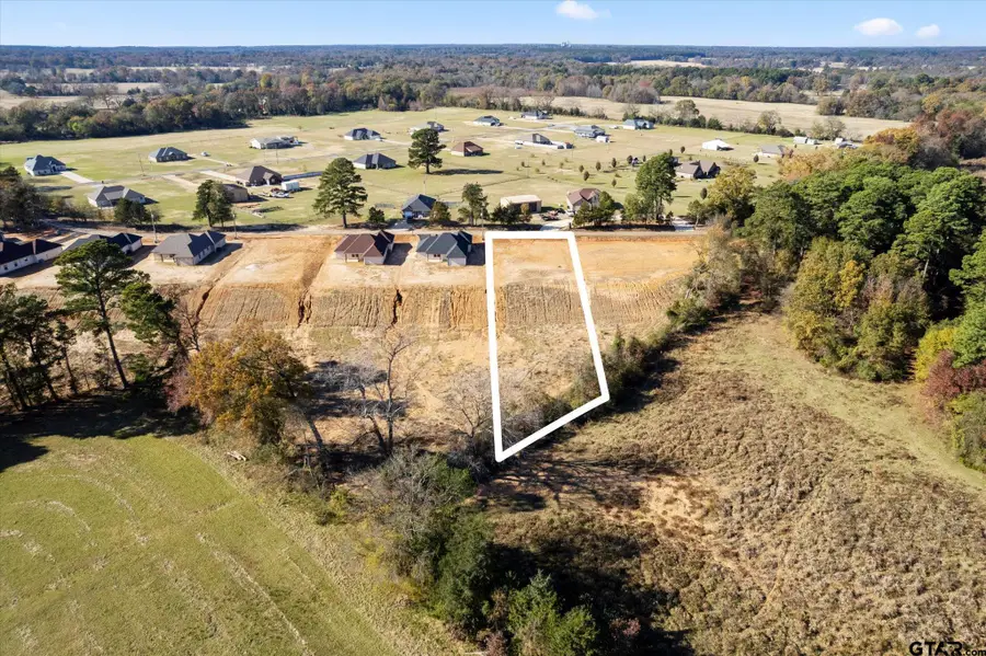 Lot 2 CR 4323, Pittsburg, TX 75686 - #2