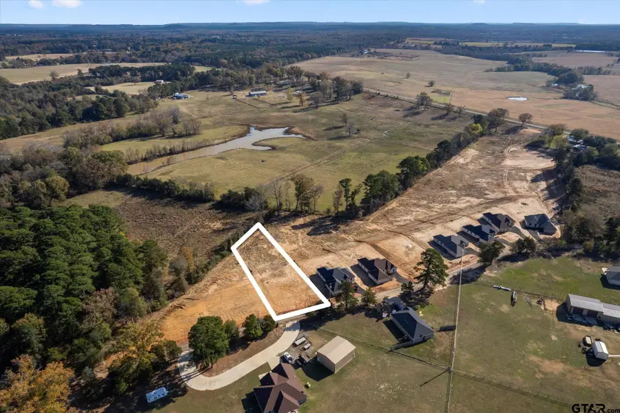 Lot 2 CR 4323, Pittsburg, TX 75686 - #3