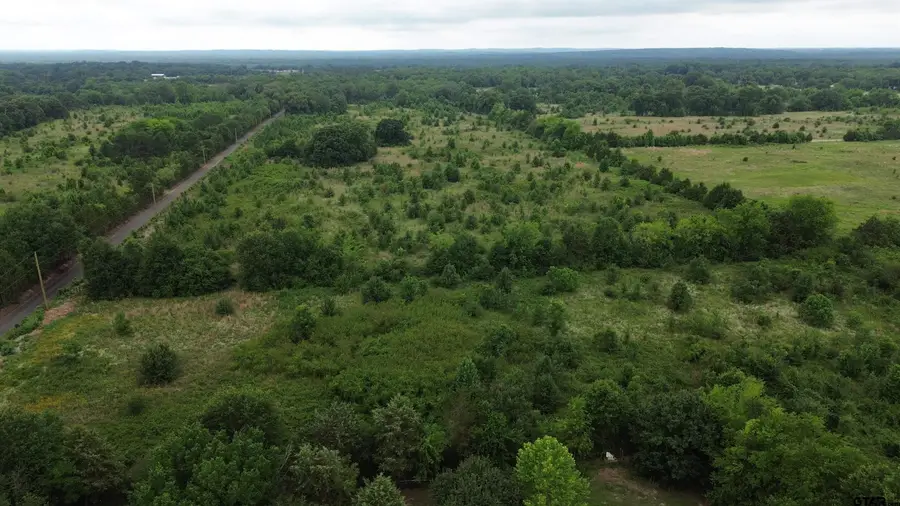TBD Cr 2805 (holland Road), Mineola, TX 75773 - #2