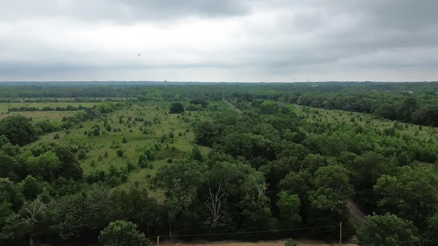 TBD Cr 2805 (holland Road), Mineola, TX 75773 - #3