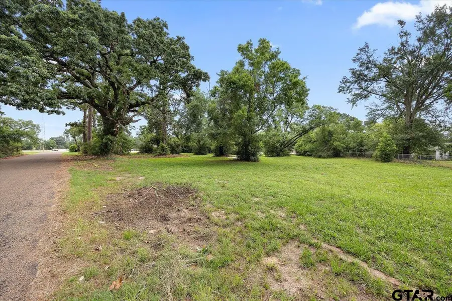 TBD N Dickinson, Rusk, TX 75785 - #2