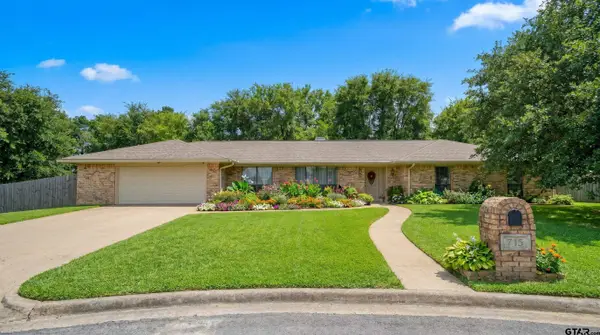 715 Hopper Ct., Winnsboro, TX 75494