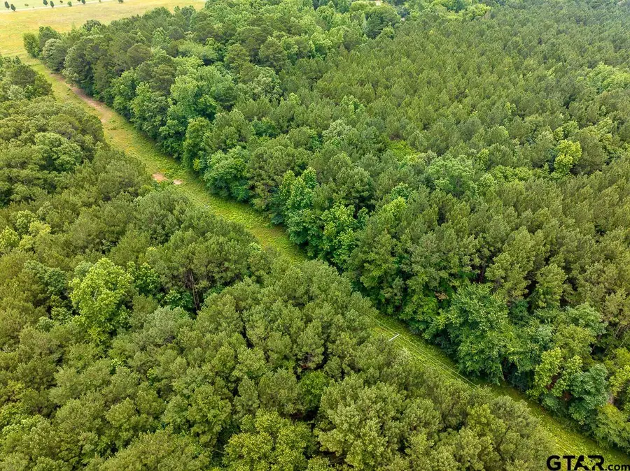 21135 FM 1252, Winona, TX 75706 - #3