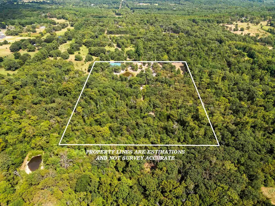 252 Private Road 6955, Alba, TX 75410 - #2