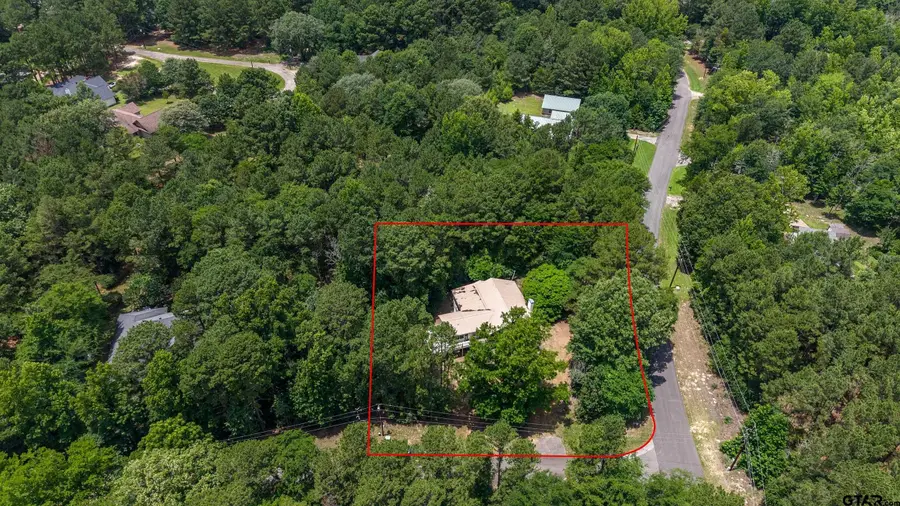 563 Branding Iron Lane, Holly Lake Ranch, TX 75765 - #3