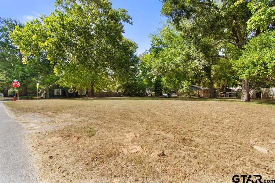 111 Mallory, Lindale, TX 75771 - #3