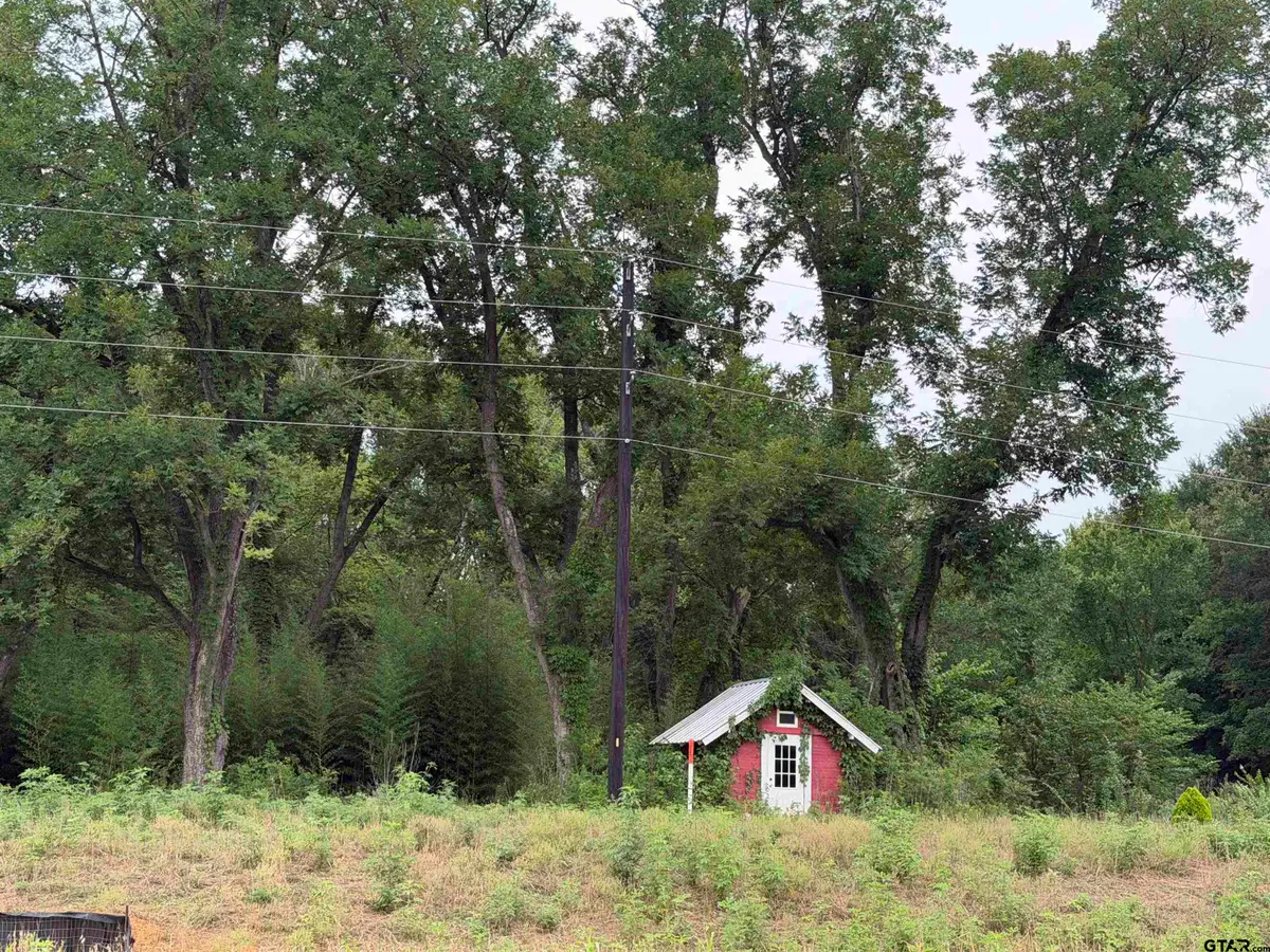 18171 FM 16 Lot #5, Lindale, TX 75771 - #1