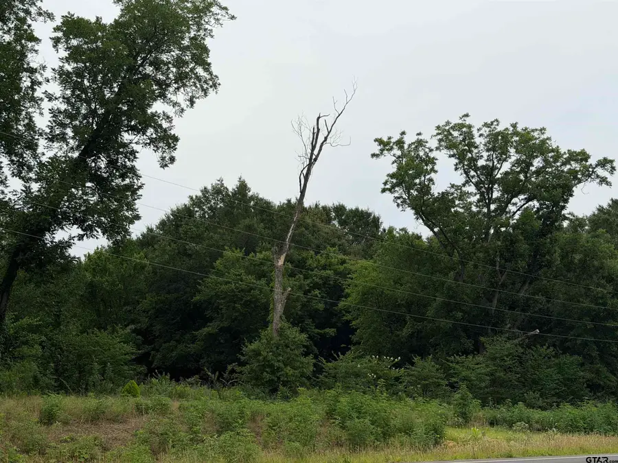 18171 FM 16 Lot #5, Lindale, TX 75771 - #2