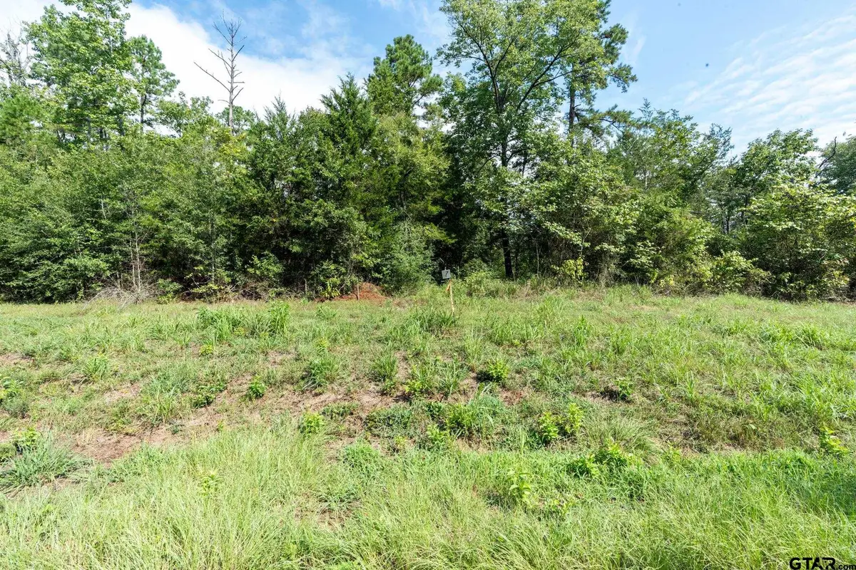 11163 Moser Ln, Whitehouse, TX 75791 - #1