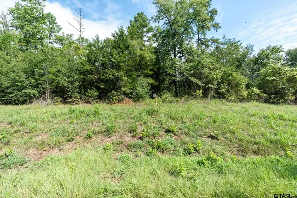 11163 Moser Ln, Whitehouse, TX 75791