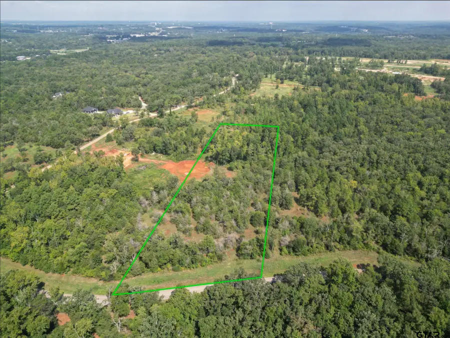 11163 Moser Ln, Whitehouse, TX 75791 - #2