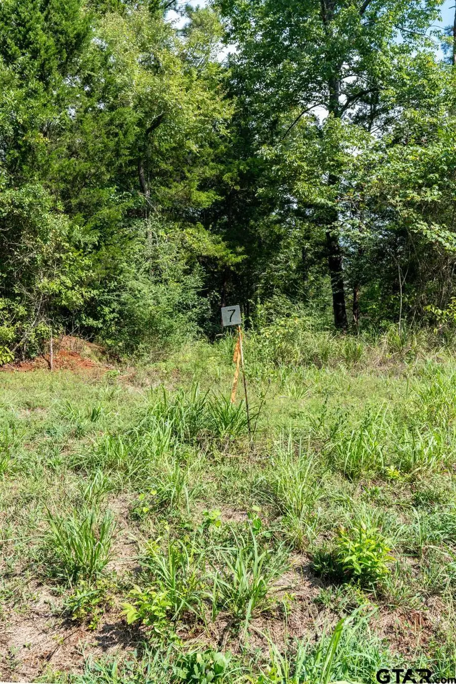 11163 Moser Ln, Whitehouse, TX 75791 - #3
