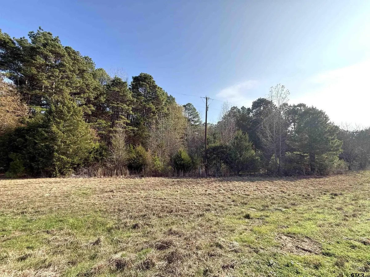 TBD FM 2888, Marietta, TX 75566 - #1