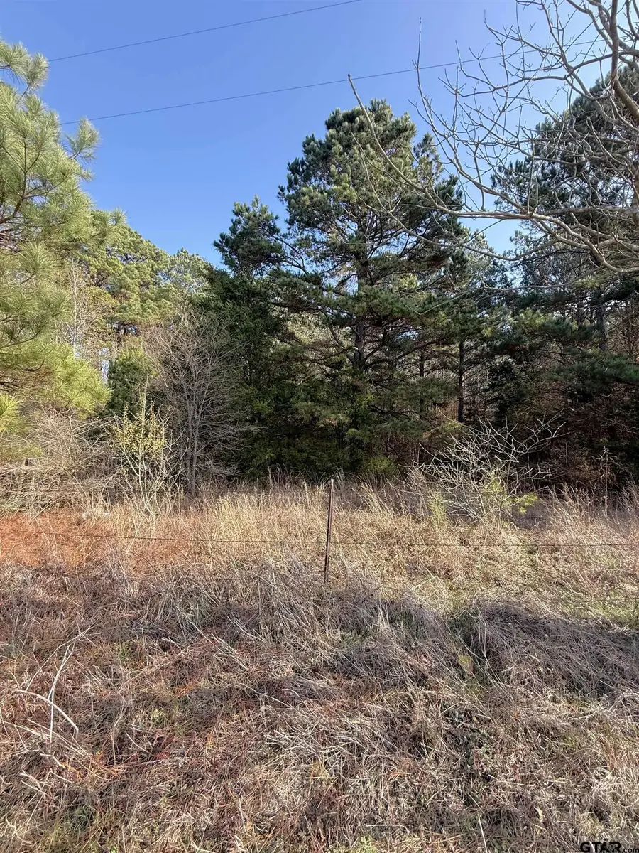 TBD FM 2888, Marietta, TX 75566 - #2