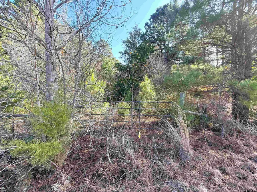TBD FM 2888, Marietta, TX 75566 - #3
