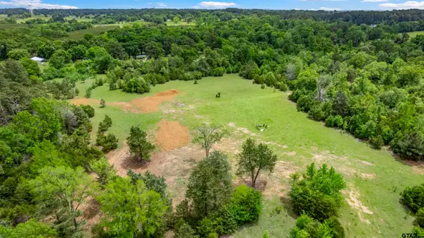 11710 Fm 344 W, Bullard,  75757