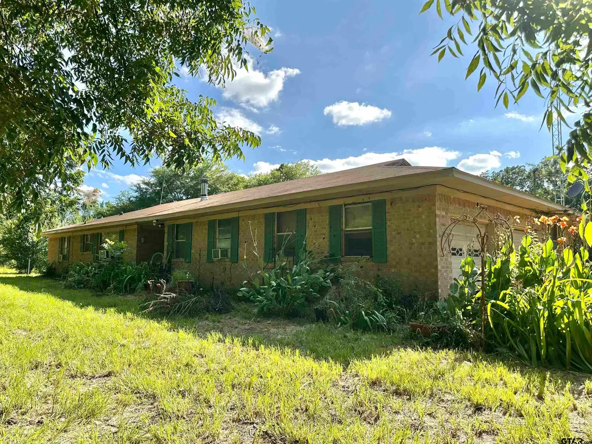 2578 South FM 17, Alba, TX 75410 - #1