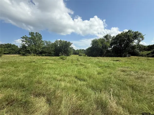 11591-2 S Farm Road 269, Pickton, TX 75471