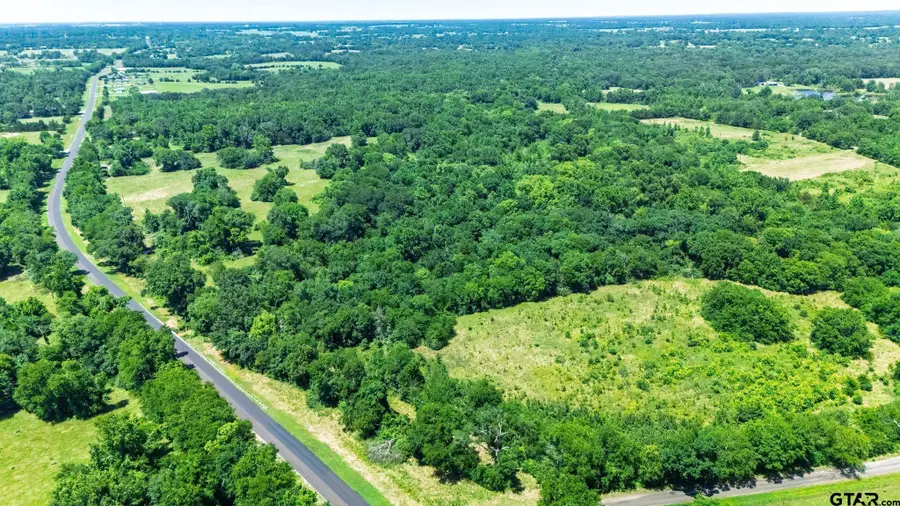 11591-2 S Farm Road 269, Pickton, TX 75471 - #2