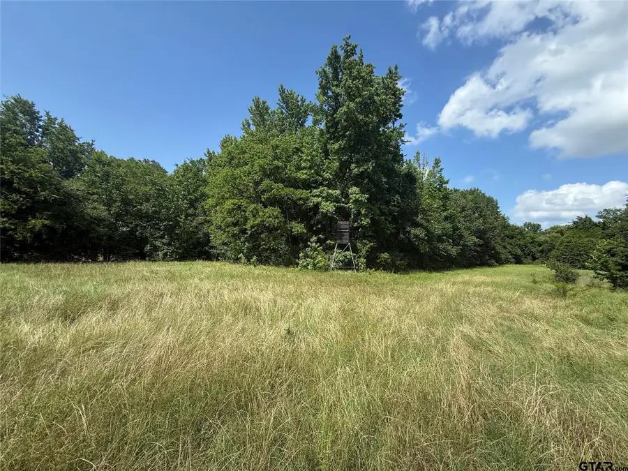 11591-2 S Farm Road 269, Pickton, TX 75471 - #3