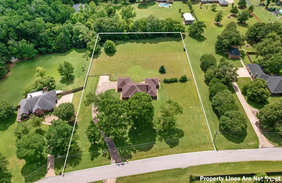 19606 Norfolk Drive, Flint, TX 75762 - #2