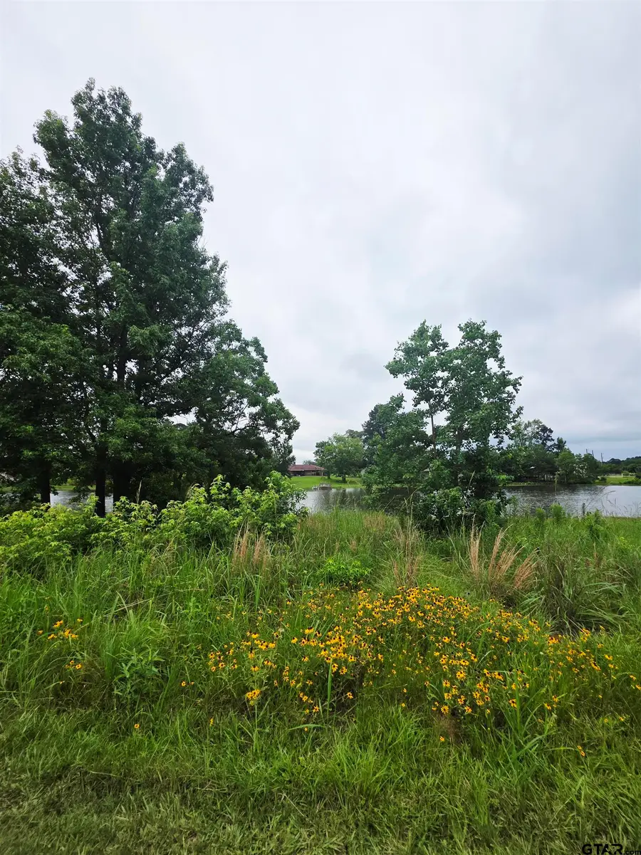 TBD CR 2117, Quitman, TX 75783 - #2